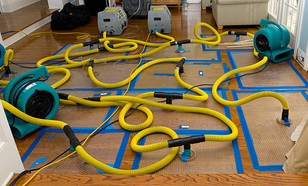 Professional Water Damage Restoration technician working in Ashton, ID
